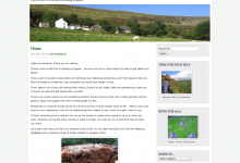 The home page is well laid out and is a hub of information