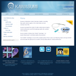 The homepage of kawasumiameric.com